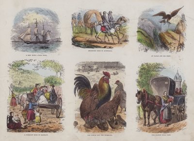 Pagina uit het Aantrekkelijke Prentenboek (gekleurde gravure) door English School
