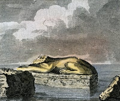 Deel van een Egyptische sfinx gevonden in de ruïnes van de oude stad Canopus door English School