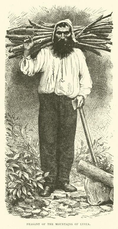 Boer van de bergen van Lucca door English School