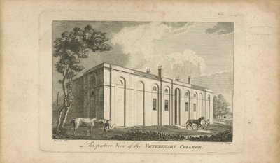 Perspectiefweergave van het veterinair college door English School