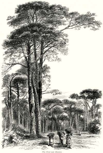Dennenbos bij Ravenna (gravure) door English School