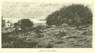 Point Koura, Malta door English School