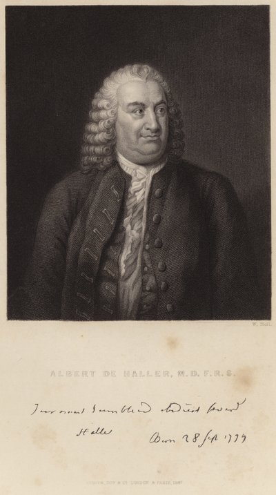 Portret van Albert de Haller door English School