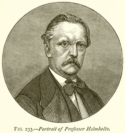Portret van Professor Helmholtz door English School