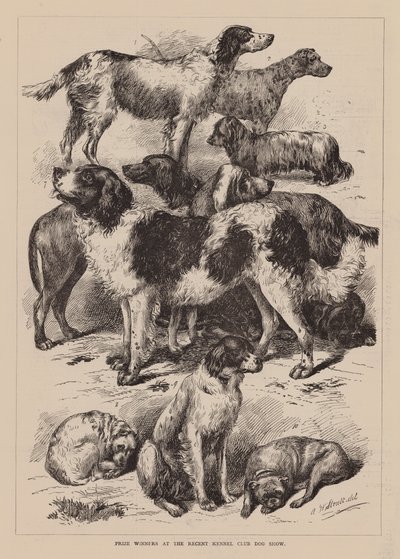 Prijswinnaars op de recente Kennel Club Hondententoonstelling (gravure) door English School