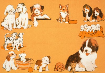 Puppyhonden door English School
