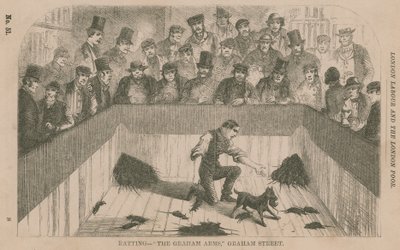 Ratten bij de Graham Arms, Graham Street, Londen door English School