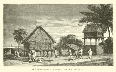 Rijstschuren en duiventillen in Madagaskar door English School
