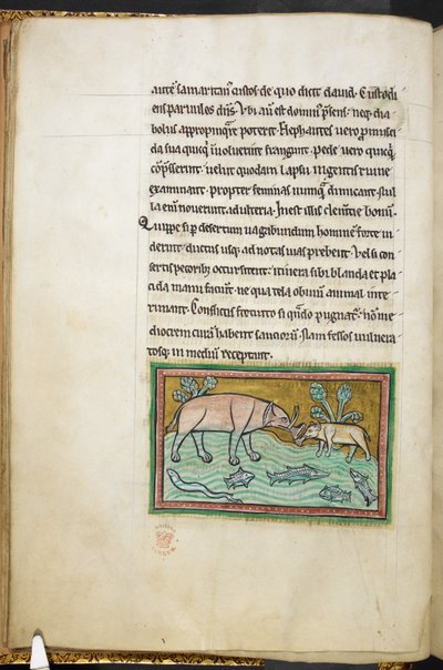 Royal 12 F.XIII, f.13v Een grote en een kleine olifant in een stroom vol vissen, Bestiarium (ff. 3-141), Lapidarium (ff. 141v-149), 2e kwart van de 13e eeuw door English School