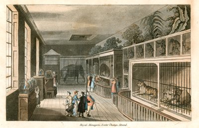 Royal Menagerie, Exeter Change, Strand (ingekleurde gravure) door English School
