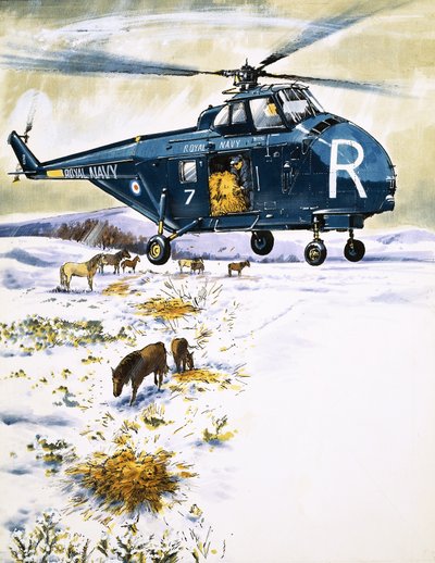 Helikopter van de Royal Navy gebruikt voor dierenredding door English School