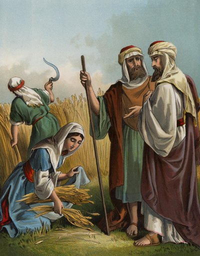 Ruth die aren raapt in het veld van Boaz door English School