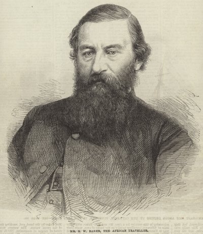 Samuel White Baker door English School