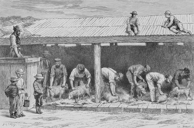 Schapenscheren, c.1880, uit 