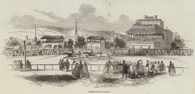 Shrewsbury Races door English School