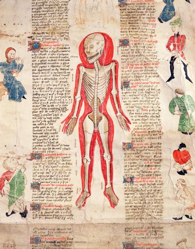 Skelet, uit De arte phisicali e de cirugia door John Ardene, 1412 door English School
