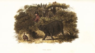 Slut, de vrouwelijke varken getraind als een aanwijshond of jachthond door Richard Toomer, jachtopziener van Sir Henry Mildmay door English School