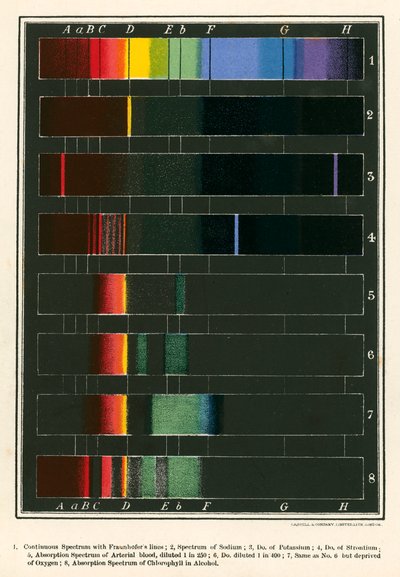 Spectrum (kleurenlitho) door English School