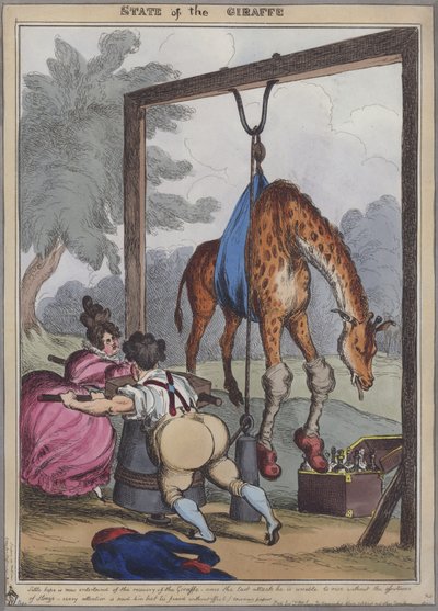 Staat van de giraffe (gekleurde gravure) door English School