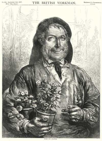 Verhaal van een bloem (gravure) door English School