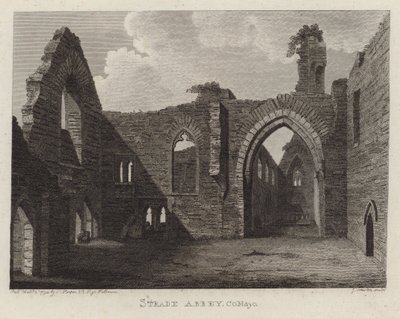Strade Abbey, County Mayo, Ierland door English School