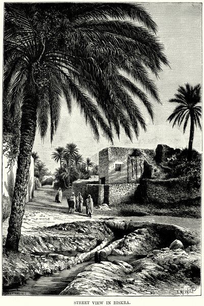 Street View in Biskra (engraving) door English School