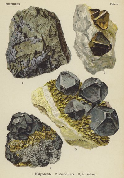 Sulfiden, molybdeniet, zinkblende, galena door English School