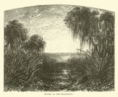 Moeras aan de Mississippi door English School