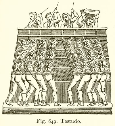 Testudo door English School