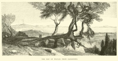 De Baai van Napels vanaf Camaldoli door English School