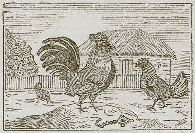 De haan en het juweel (gravure) door English School