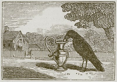 De kraai en de waterkruik (gravure) door English School