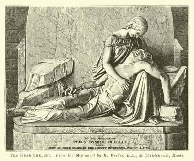 De Dode Shelley door English School