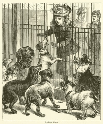 Het hondenasiel (gravure) door English School