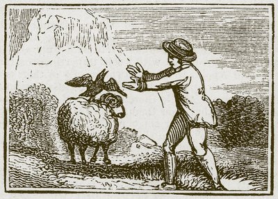 De adelaar en de kraai (gravure) door English School