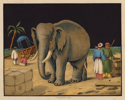 De Olifant door English School