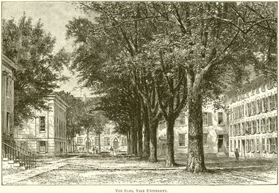 De Elms, Yale Universiteit door English School