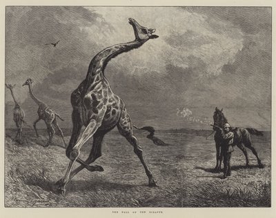De val van de giraffe door English School