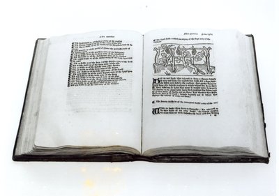 De Vos en de Druiven, uit een geïllustreerde vertaling van Aesopus