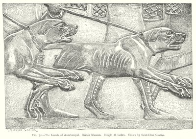 De honden van Assurbanipal. Brits Museum (gravure) door English School