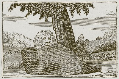 De leeuw en de muis (gravure) door English School
