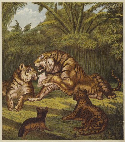 De ontvangst van de leeuw (kleur litho) door English School