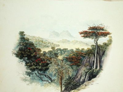 De Bergen, Ceylon door English School