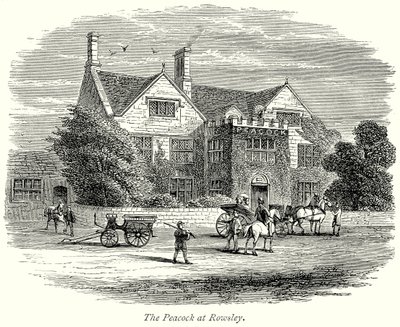 De pauw in Rowsley (gravure) door English School