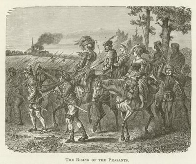 De opstand van de boeren door English School