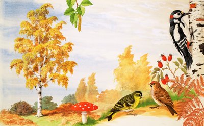 De Zilveren Berk en dieren en planten die je eromheen kunt vinden door English School