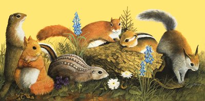De familie Eekhoorn, illustratie uit 