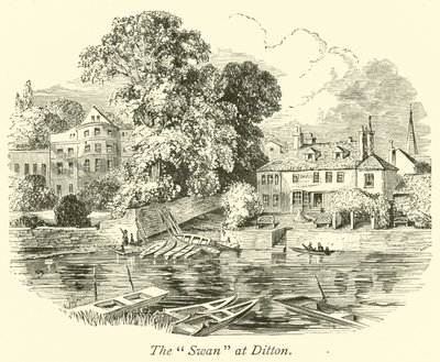 De Zwaan bij Ditton door English School