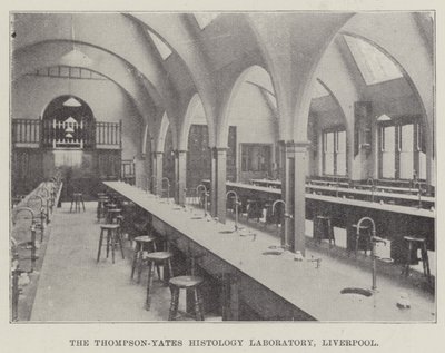 Het Thompson-Yates Histologie Laboratorium, Liverpool door English School