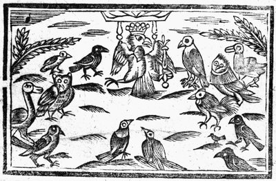 De Boskoorzangers of De Vogels Harmonie, een illustratie uit 